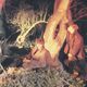 Echo ＆ The Bunnymen Tシャツ Crocodiles-Black