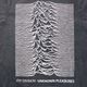 JOY DIVISION T����� Pulsar Pocket Wave ���ȡ��󥦥��å���-Grey��