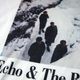 Echo �� The Bunnymen T����� Porcupine-White