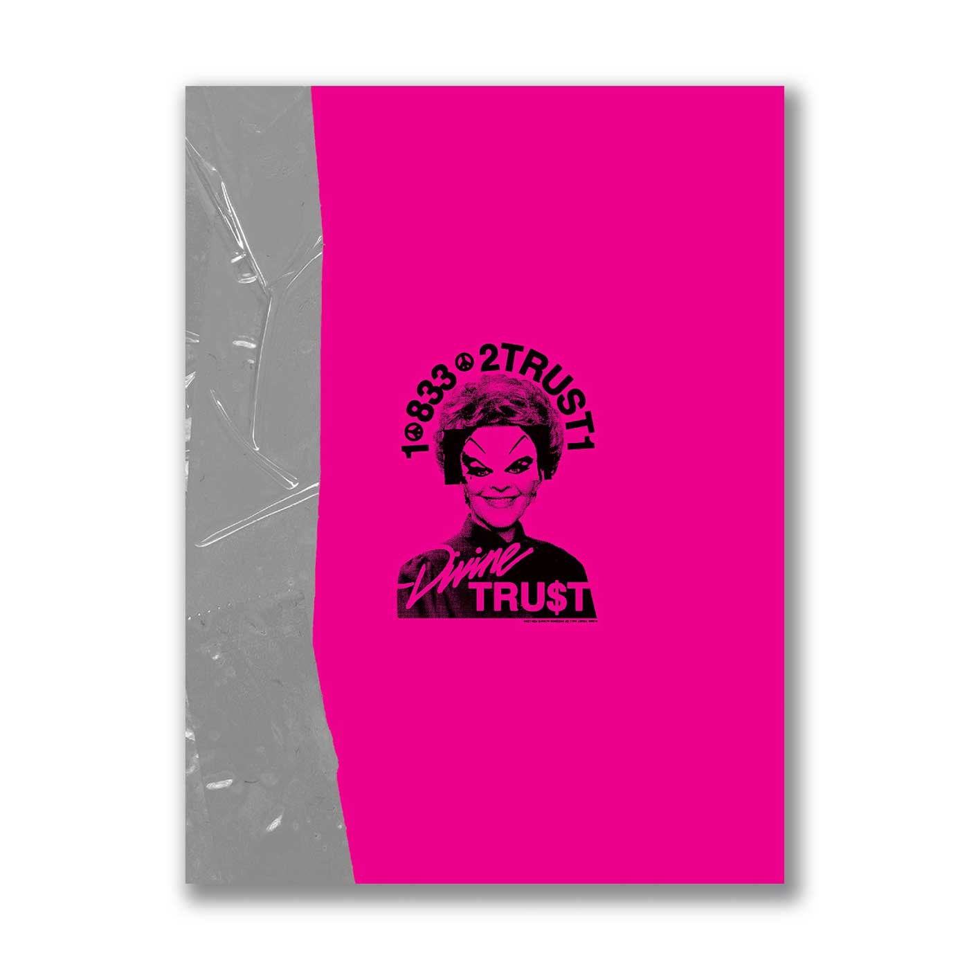 Trust Records Fanzine Volume 4 / ZINE (US�ϡ��ɥ���/�ѥ�)