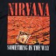 NIRVANA T����� Something In The Way-Black