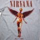 NIRVANA �˥�������� T����� In Utero-Grey