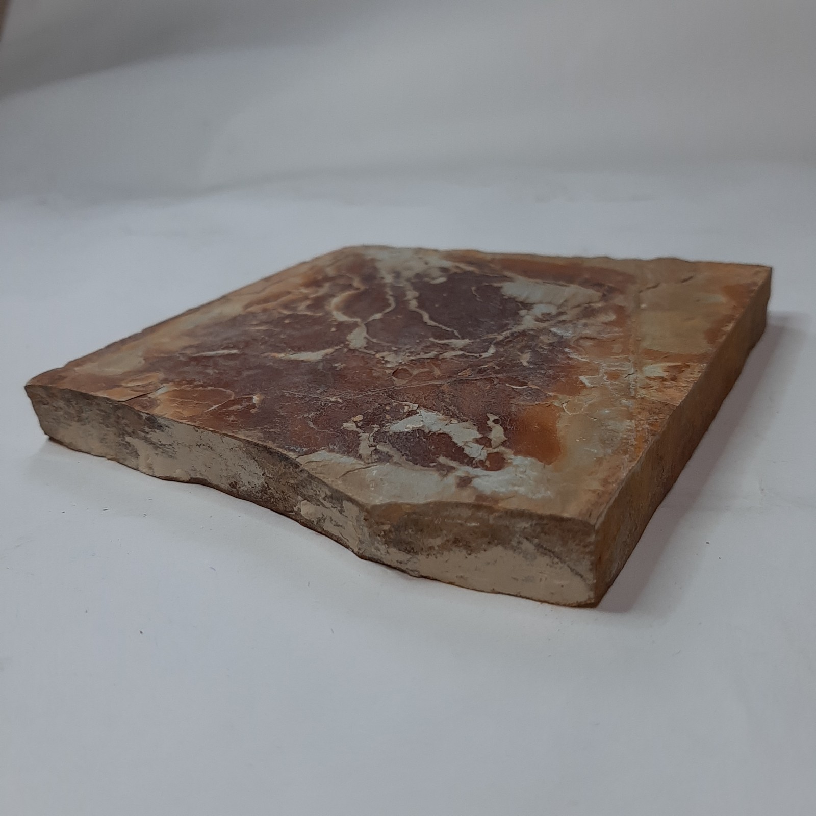 ڤѤߡ滳åѡNo.217 ĶžŷС