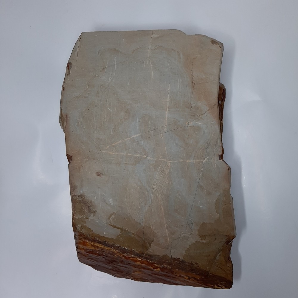 ڤѤߡ۱¡ġĶžŷСۡNo.212