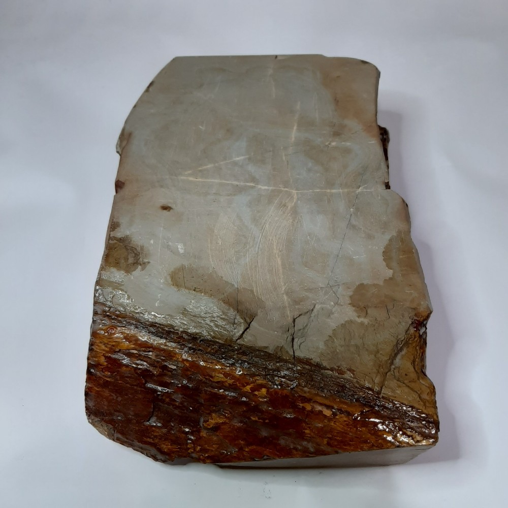 ڤѤߡ۱¡ġĶžŷСۡNo.212