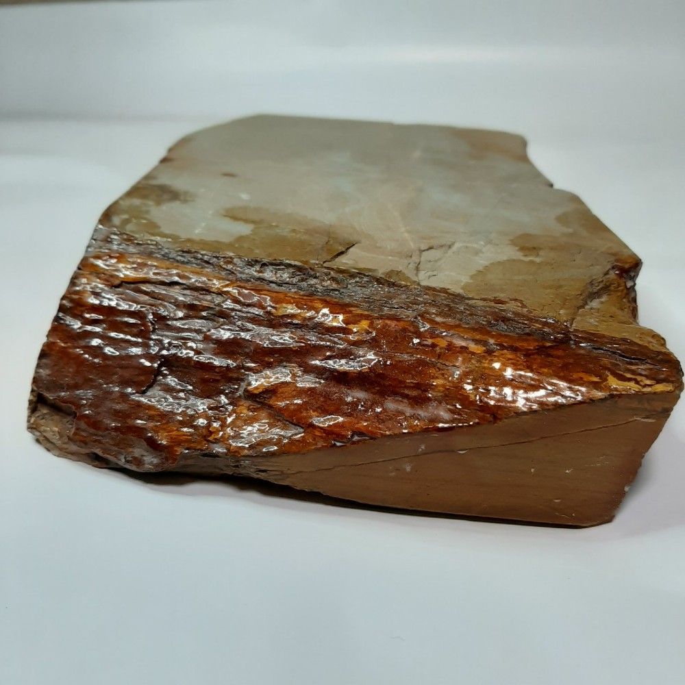 ڤѤߡ۱¡ġĶžŷСۡNo.212