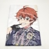 š̤ ɥޥ SideM M ե륷å 315!!!SHOP ꥸʥ ϡե륱å ͪO˭Ź