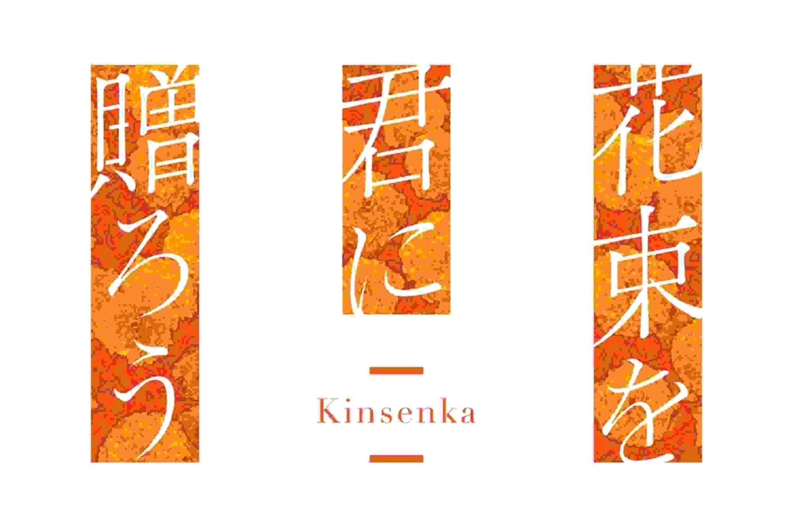 ��ͽ���ʡۡ�2026/04/30ȯ���Switch�˲�«�򷯤�£����-Kinsenka �̾��� �����؎��ގŎ���ŵ�դ��ʴ̎ʎގ����ޡ�