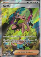 ����šێΎߎ����ˎ��Ύ� SR ���Ŏ؎�(219/193) 219/193 SR MEGA�Ďގ؎���ex��O����Ź��