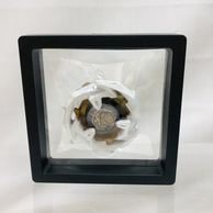 ����š����ΤΤ�)�٥��֥졼��X �ɥ�󥽡���4-80DB��OAT��ëŹ��