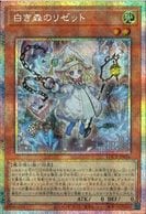 遊戯王お宝 トレーディングカード,遊戯王 | お宝創庫
