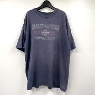 ����š�90s��HARLEY DAVIDSON HOLOUBEK��T����ġ��ͥ��ӡ���������2X �ϡ��졼���ӥåɥ����O˭�ġ�