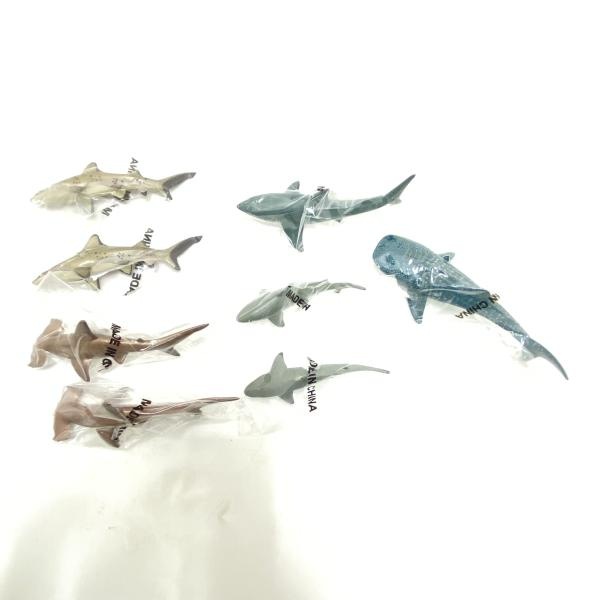 ����šۡڳ�����SHARKS ���㡼���ܥå��� ���������(20�Υ��å�) ��Ω�ο޴� SHARKS OF THE WORLD�ס�O��ë��