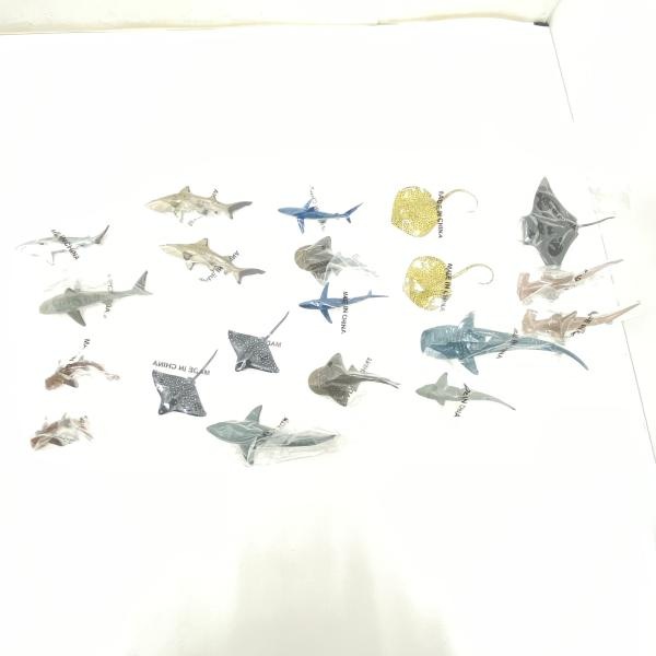 ����šۡڳ�����SHARKS ���㡼���ܥå��� ���������(20�Υ��å�) ��Ω�ο޴� SHARKS OF THE WORLD�ס�O��ë��