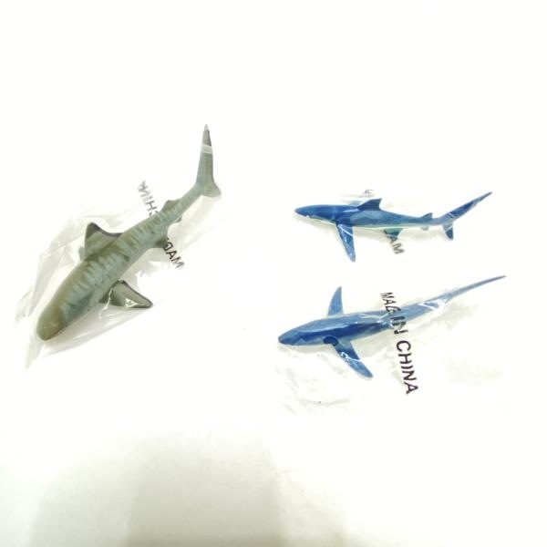 ����šۡڳ�����SHARKS ���㡼���ܥå��� ���������(20�Υ��å�) ��Ω�ο޴� SHARKS OF THE WORLD�ס�O��ë��