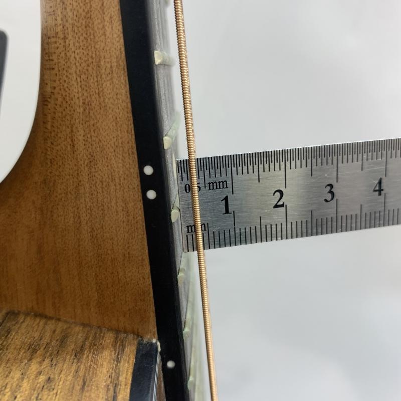 ����š�Ibanez / EWP14WB-OPN �ˎߎ����ێ��������Î��������ގ�����O��¼Ź��