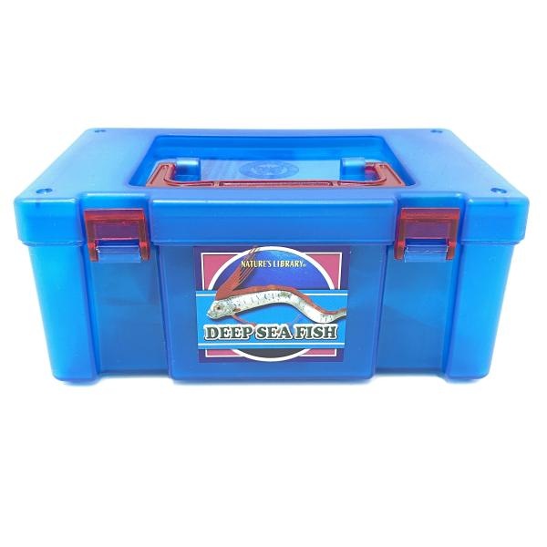����šۡڳ�����DEEP SEA FISH-�ǥ����ץ����ե��å���ܥå���-(6�Υ��å�) ��Ω�ο޴� NATURES LIBRARY�ס�O��ë��