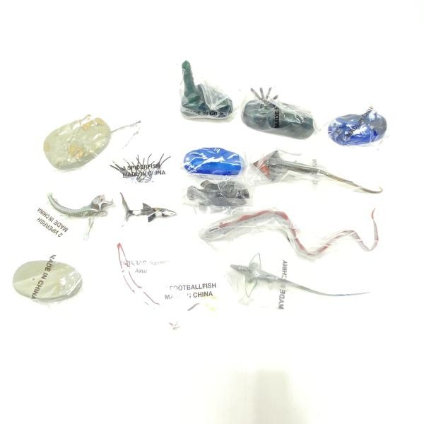 ����šۡڳ�����DEEP SEA FISH-�ǥ����ץ����ե��å���ܥå���-(6�Υ��å�) ��Ω�ο޴� NATURES LIBRARY�ס�O��ë��