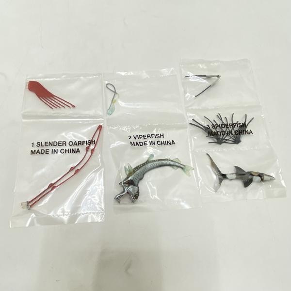 ����šۡڳ�����DEEP SEA FISH-�ǥ����ץ����ե��å���ܥå���-(6�Υ��å�) ��Ω�ο޴� NATURES LIBRARY�ס�O��ë��