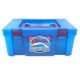 ����šۡڳ�����DEEP SEA FISH-�ǥ����ץ����ե��å���ܥå���-(6�Υ��å�) ��Ω�ο޴� NATURES LIBRARY�ס�O��ë��