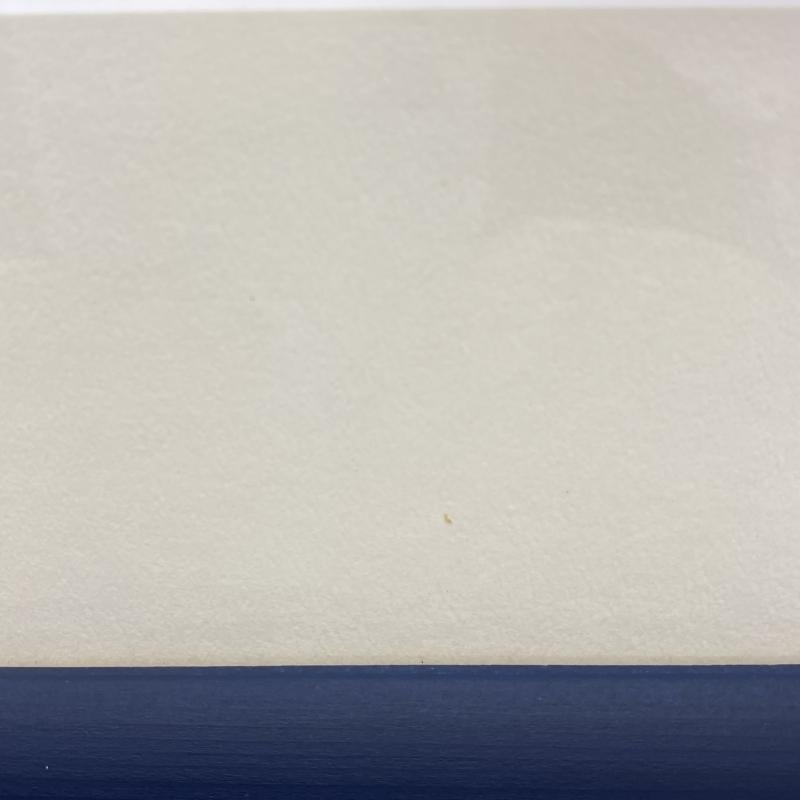 š۳)ëΥʥ֥ȥᥭArt DisplayOATëŹ