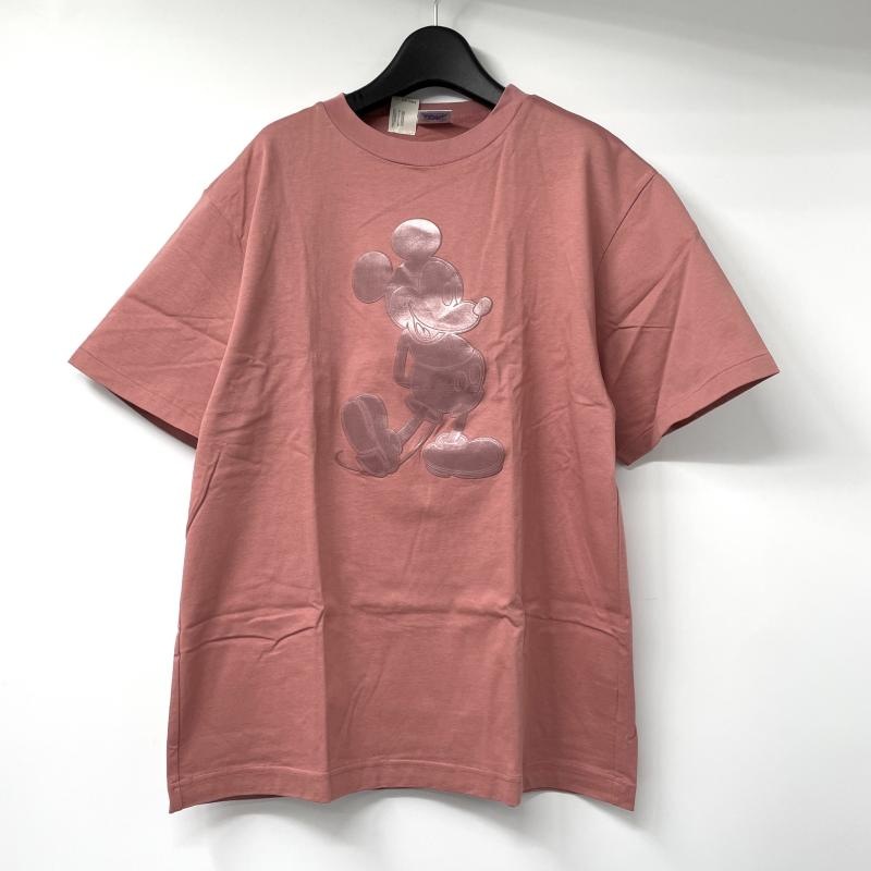 ����š�N��HOOLYWOOD��Disney �ߥå���T����� ������M �ԥ� ���̥ϥꥦ�åɡߥǥ����ˡ���O˭��Ź��