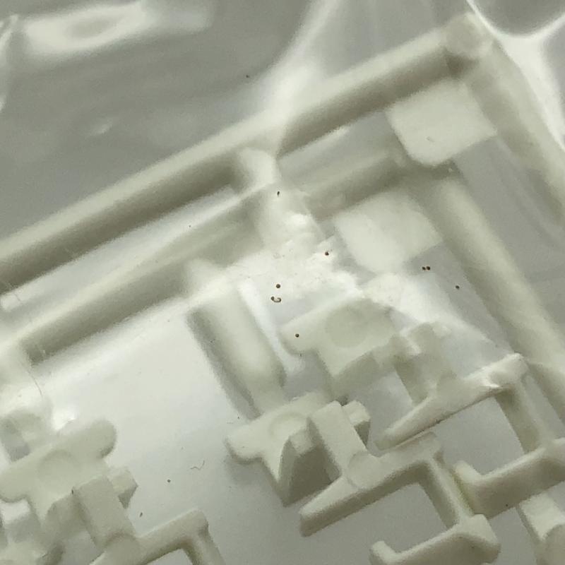 š̤Ω Х Ŵƻ999 ץ쥢ǥ7 6ξ̩ǥO˭Ź