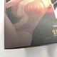 ����šۥᥬ�ϥ��� P.O.P �����󥹥⡼�����쥤���� Ver.BB Portrait.Of.Pirates ���ԡ��� LIMITED EDITION��OȾ�ġ�