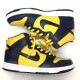 š۴Ѿ)NIKE DUNK LE 1998 MICHIGAN 27cm 630335-471 ʥ  ߥ OΩŹ