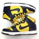 š۴Ѿ)NIKE DUNK LE 1998 MICHIGAN 27cm 630335-471 ʥ  ߥ OΩŹ