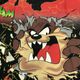 ����š�LOONEY TUNES 90s TASMANIAN DEVIL �ץ���T����� L �֥�å� �롼�ˡ����ƥ塼�󥺡�OȾ�ġ�