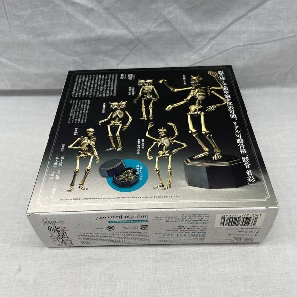 ����š�HM)������KT-006 �����估������ʪ ���� ����ǡ�O���ġ�