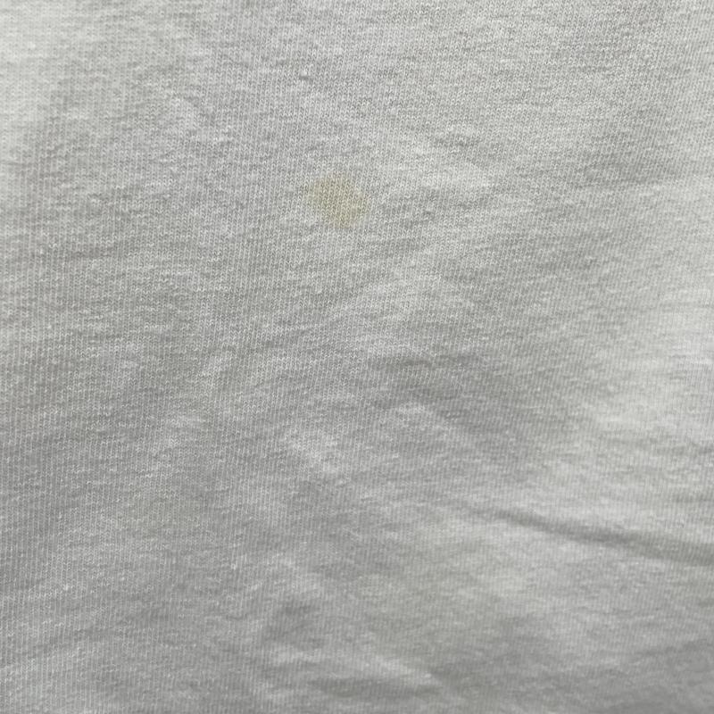����šۥ������SANTA CRUZ ROB ROSKOPP L/S ���������� �ۥ磻�� ���󥿥��롼����O˭�ġ�