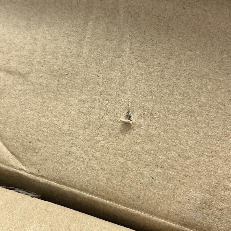 š۰֤ D MASTERLISE 奤 ɥ饴ܡ EX !!ե꡼OȾŹ