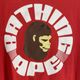 ����š�A BATHING APE �ץ���T����� ��å� ������L��O����Ź��