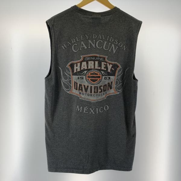 ����š�Harley Davidson��T����� ���졼 ������L �ϡ��졼���ӥåɥ����O����Ź��