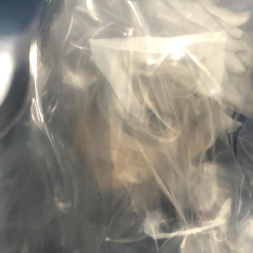 ����šۥХ���� ������Ϻ ���֤��� �֥롼���å� ¸�ߤξ��� C�� �ե����奢��O�ĳ���