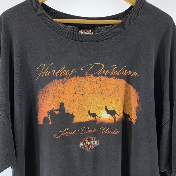 ����š�Harley Davidson��T����� �֥�å� ���������� �ϡ��졼���ӥåɥ����O����Ź��