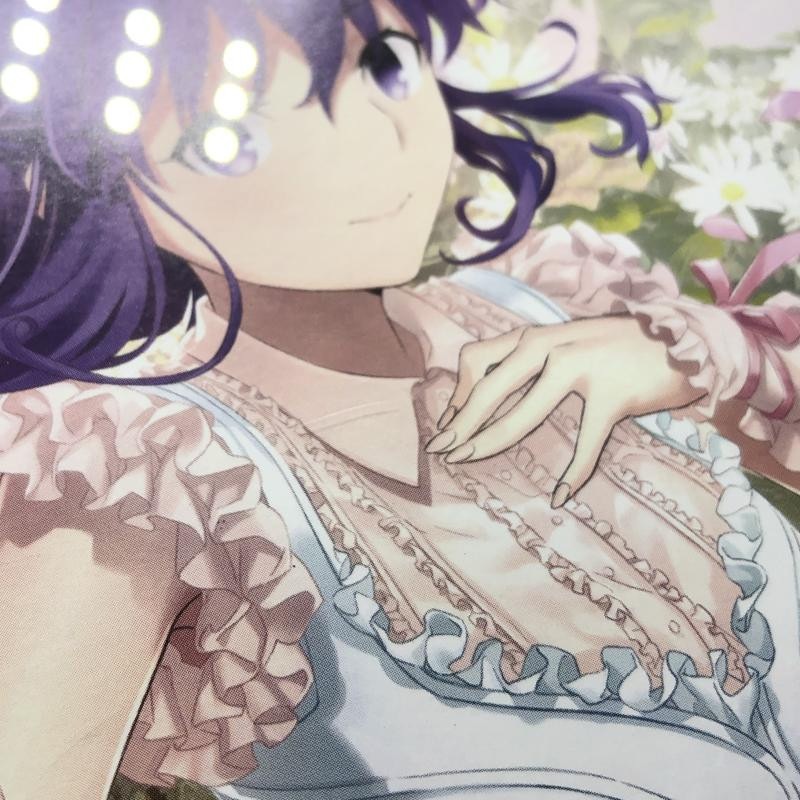 šFate/stay night 20ǯǰ 󥵡 Unlimited Blade  Works Heaven's Feel ץåȡOȾŹ