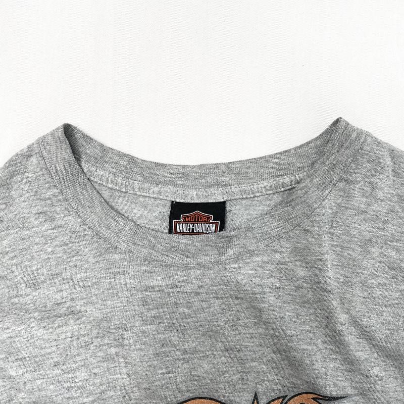 ����š�00s��Harley davidson ��������µ�ץ���ĹµTOP�����졼���ϡ��졼���ӥåɥ����O˭�ġ�