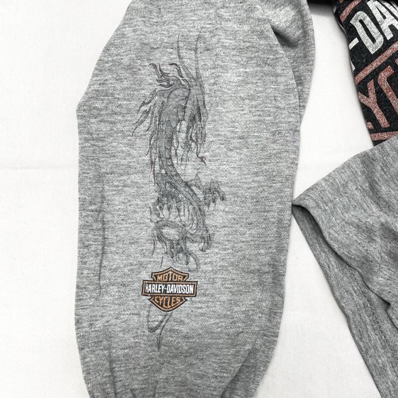 ����š�00s��Harley davidson ��������µ�ץ���ĹµTOP�����졼���ϡ��졼���ӥåɥ����O˭�ġ�