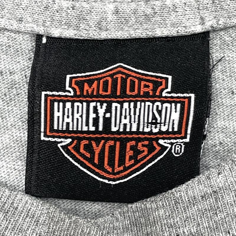����š�00s��Harley davidson ��������µ�ץ���ĹµTOP�����졼���ϡ��졼���ӥåɥ����O˭�ġ�