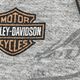 ����š�00s��Harley davidson ��������µ�ץ���ĹµTOP�����졼���ϡ��졼���ӥåɥ����O˭�ġ�
