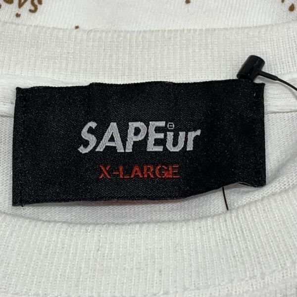 šSAPEur åɥޥT L ۥ磻ȡOŹ