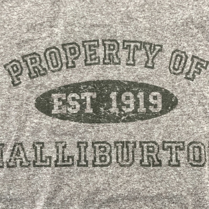 ����š�GILDAN ��󥬡�T����� XL �֥饦�� ��������OȾ��Ź��