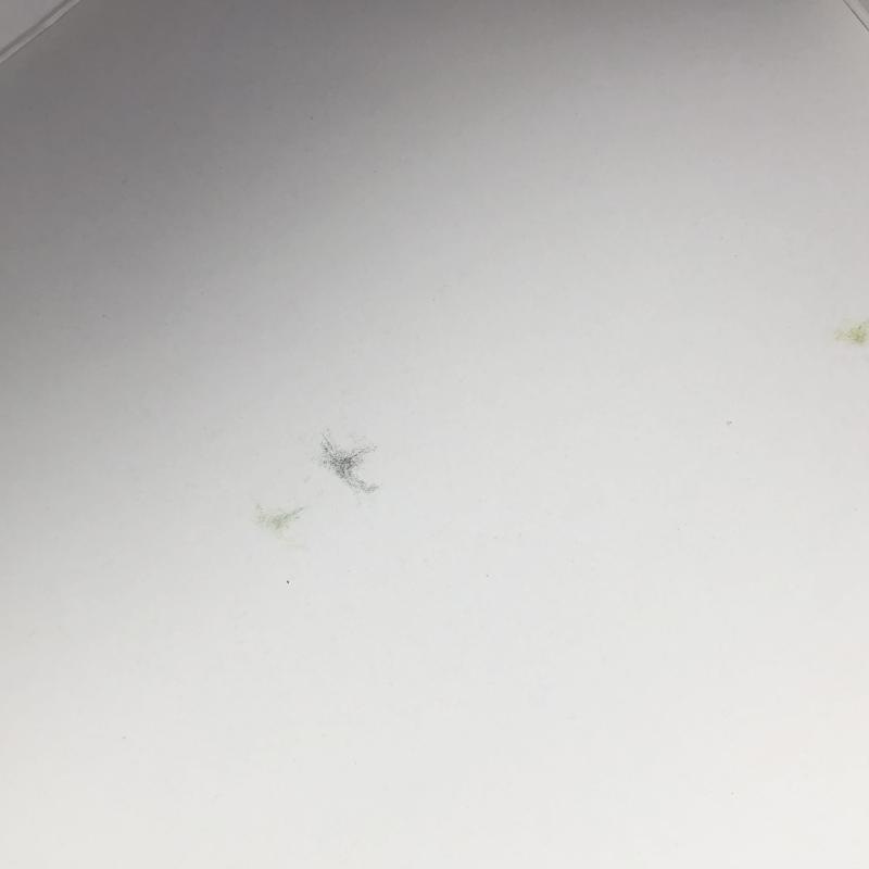 š̤Ω Х SDॷ꡼ SDW HEROS ڥꥪեߥ顼 եʥɥ饴O˭Ź