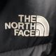 ����š�THE NORTH FACE ASPEN EX ON BALL JACKET��L���֥�å���O��Ω��