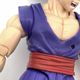 ����šۥХ���� S.H.Figuarts ¹���ӥӡ����� �ɥ饴��ܡ���Ķ �����ѡ��ҡ�������OȾ�ġ�