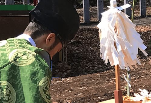 �ܥå���������100(�̿�����Х���Ȣ�դ�) | ���Ҥ�������