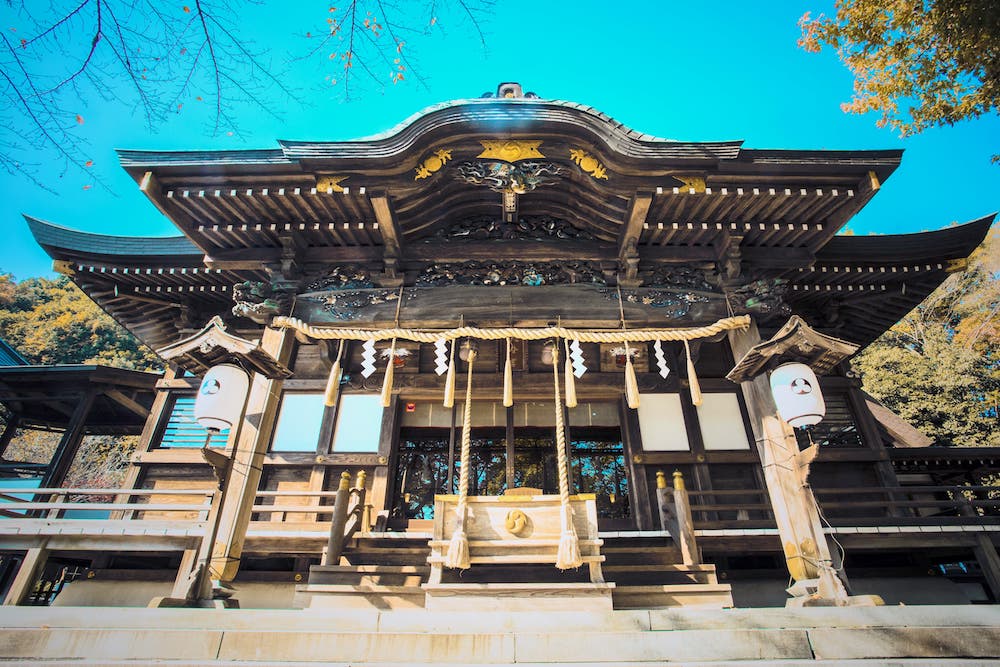 �ܥå���������100(�̿�����Х���Ȣ�դ�) | ���Ҥ�������